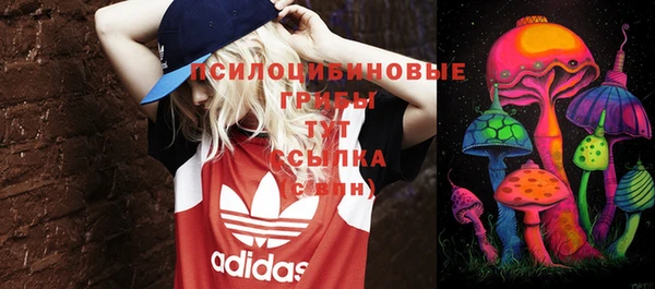 бошки Беломорск