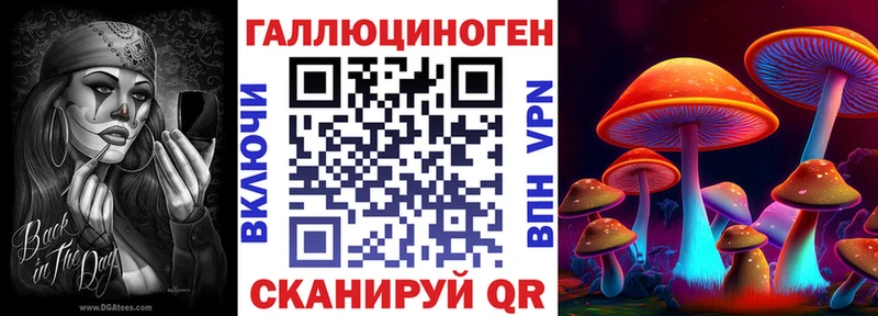 где найти   Жирновск  МЕГА ссылки  Галлюциногенные грибы мухоморы 